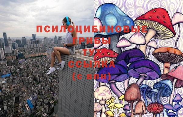 СК Аркадак