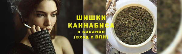 СК Аркадак