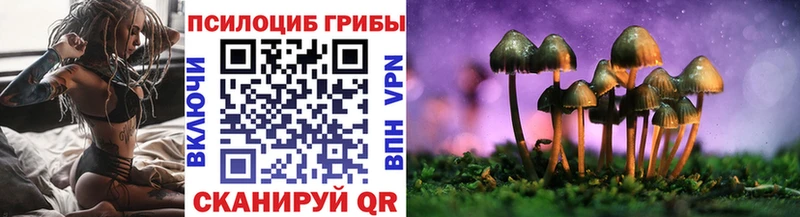 Галлюциногенные грибы GOLDEN TEACHER  kraken сайт  Изобильный  закладка 